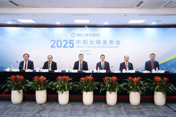 港股股价年内已翻倍，新华保障上半年钞票欠债端进展怎么？
